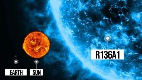 Bizarre stars
