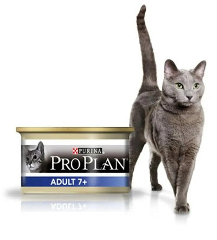 Purina Pro Plan для кошек паштет. Пурина Проплан 7+ для кошек. Проплан Эдалт старше 7 лет для кошек. Purina Pro Plan для кошек 7+. Pro plan 7 для кошек