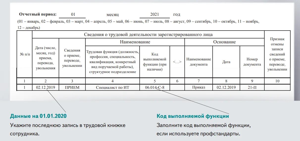 Коды окз 2023 год. Код выполняемой функции. Код выполняемой функции директора. СЗВ-ТД бухгалтер. СЗВ-ТД коды.