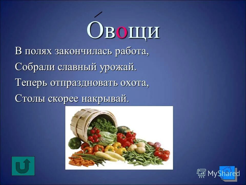 урожай овощей. славный урожай. славный урожай это. славный урожай это. натюрморт.