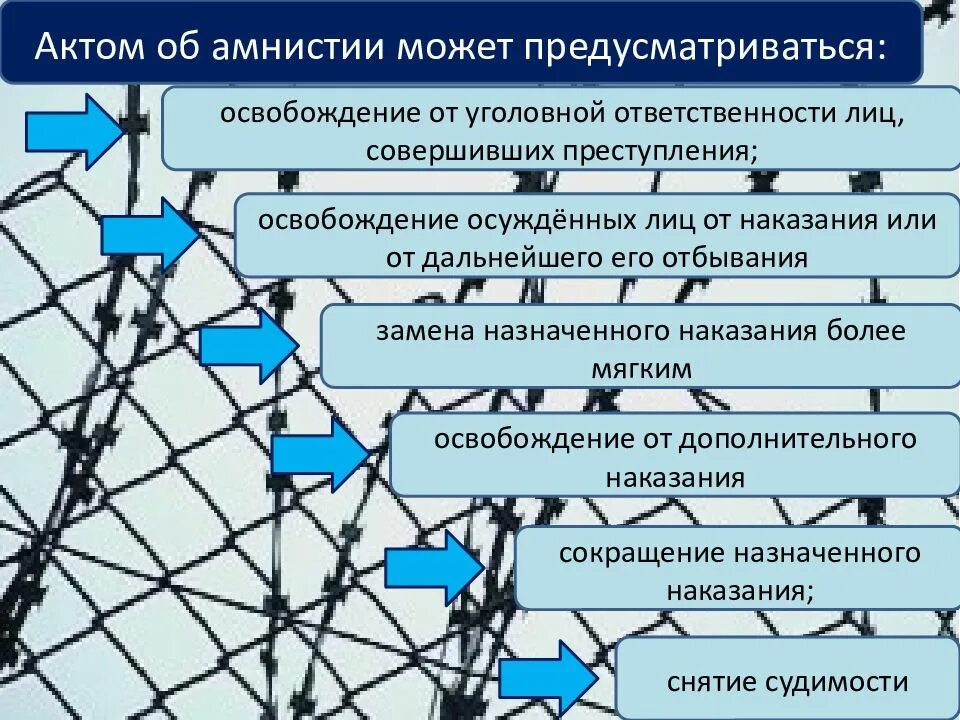 Акт амнистии. Амнистия и помилование презентация. Акт об амнистии может. Амнистия форма правового акта. Виды амнистии