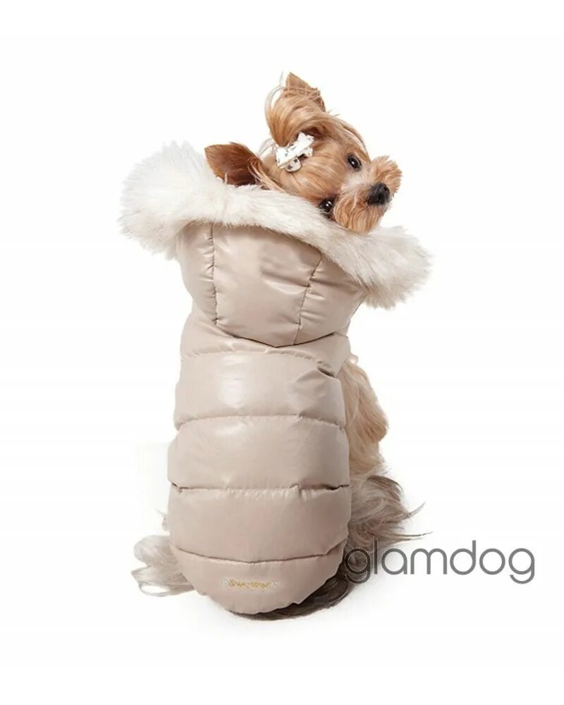 Puppy angel комбинезон санта par 021. Puppy angel комбинезон косточка new 2xl. Puppy angel одежда. Puppy angel одежда. Puppy angel одежда.