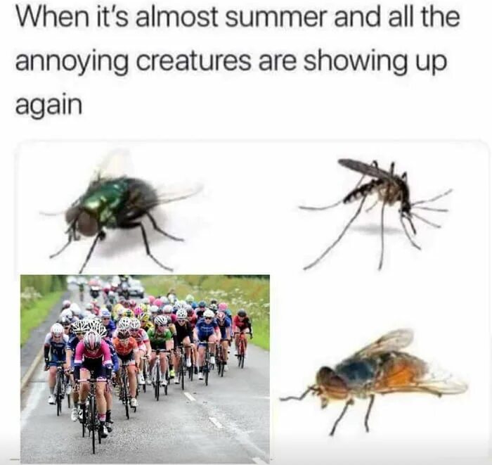 It when we got out