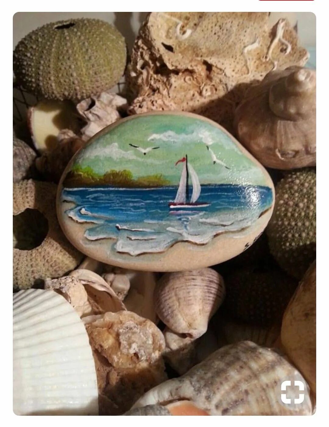 Камень из морских раковин. Ракушки на пляже. Морские камушки и ракушки. Галька и ракушки. Морские камни и ракушки.