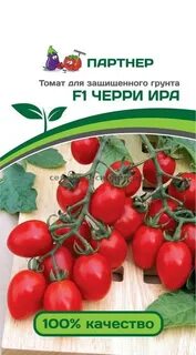 Характеристика томата черри ира