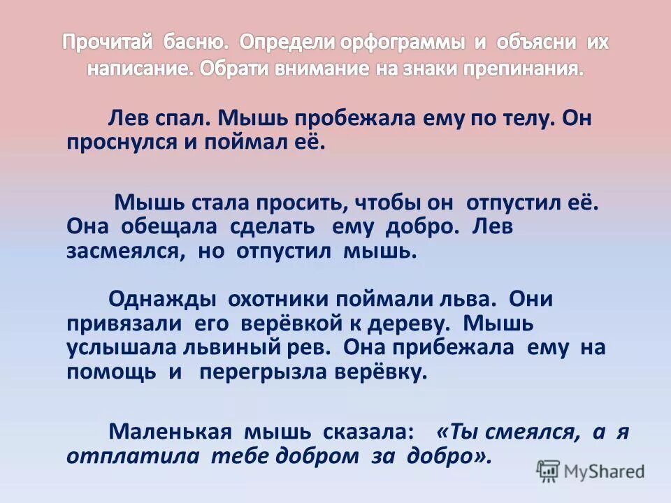 Мыши пробежали предложение