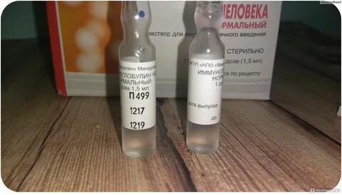 Иммуноглобулин человеческий ампулы