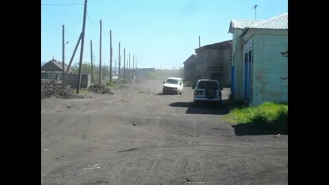 Голубов пахачи пикабу
