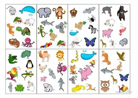 Find card