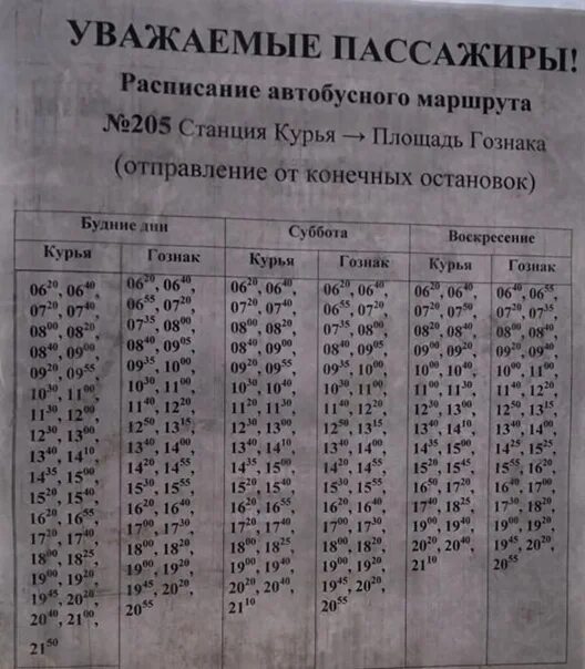 Краснокамск расписание 2023