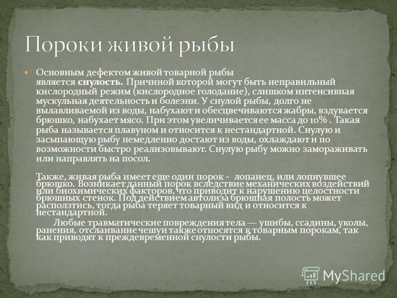 Содержание живой рыбы. Магазин аквариумов. Пороки рыбы и возможные пути реализации. Срок реализации живой рыбы в магазине. Содержание живой рыбы.