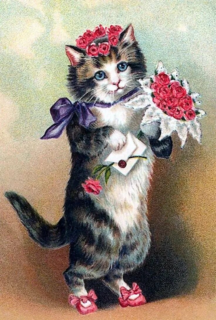 Красивые открытки с кошками