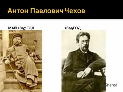 Русский павлович