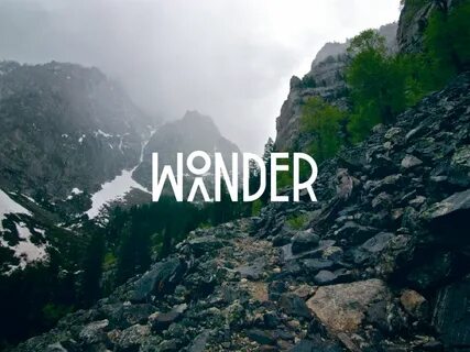 Wander wonder