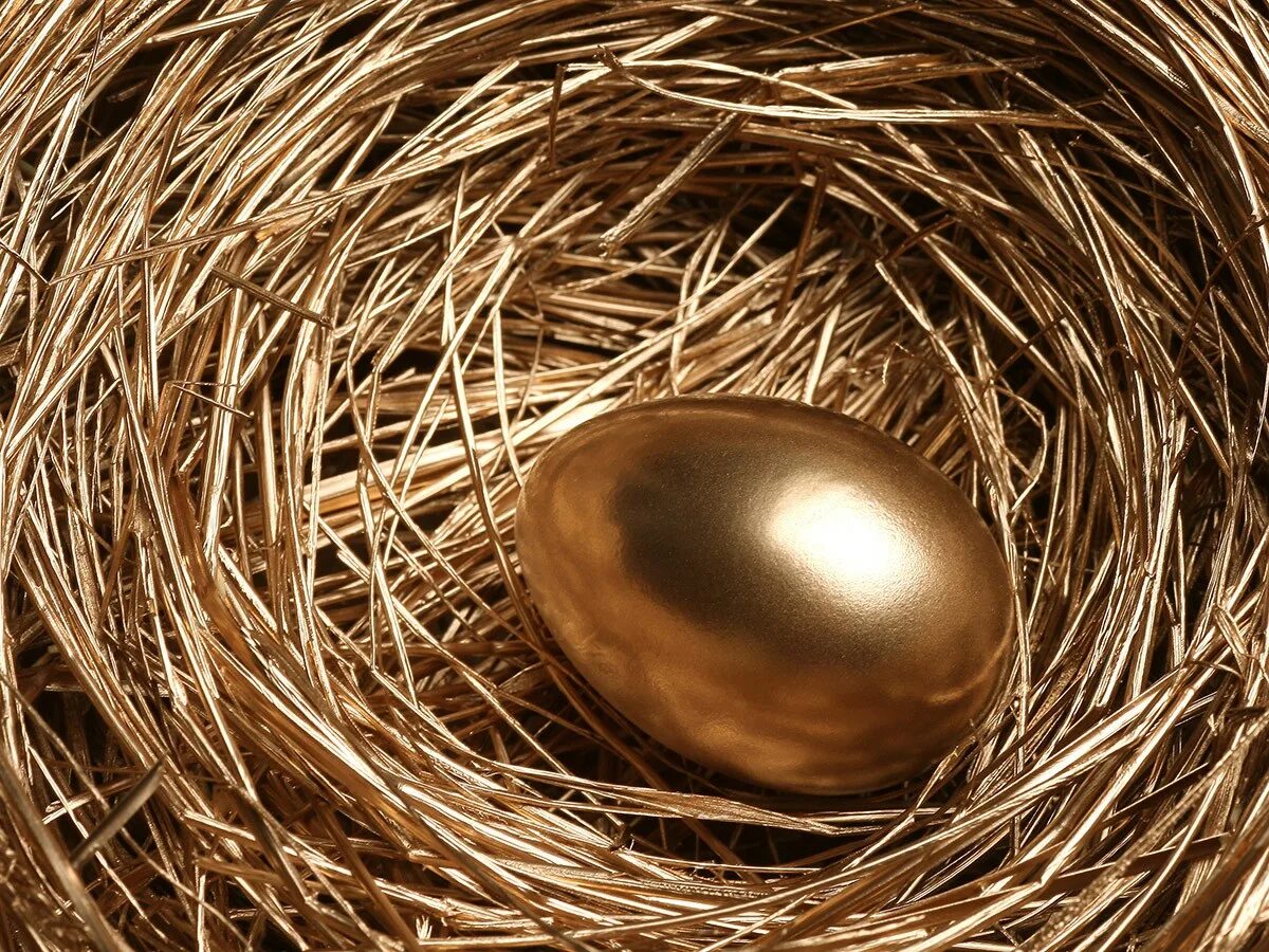 К чему снится куриное гнездо. Золотое яйцо курочки Рябы. Золотое яичко. Курица с золотыми яйцами. Курица несущая золотые яйца.