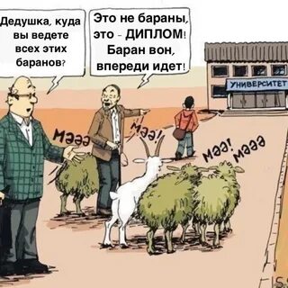Алып барам