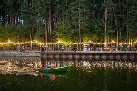 Елки каширское шоссе