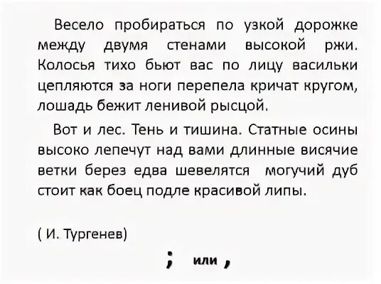 Между двумя стенами высокой ржи. Весело пробираться по узкой дорожке между двумя стенами высокой ржи. Тургенев весело пробираться по узкой дорожке. Тень и тишина статные осины высоко лепечут над вами. Акимов опытный охотник пробирался по кустарнику диктант