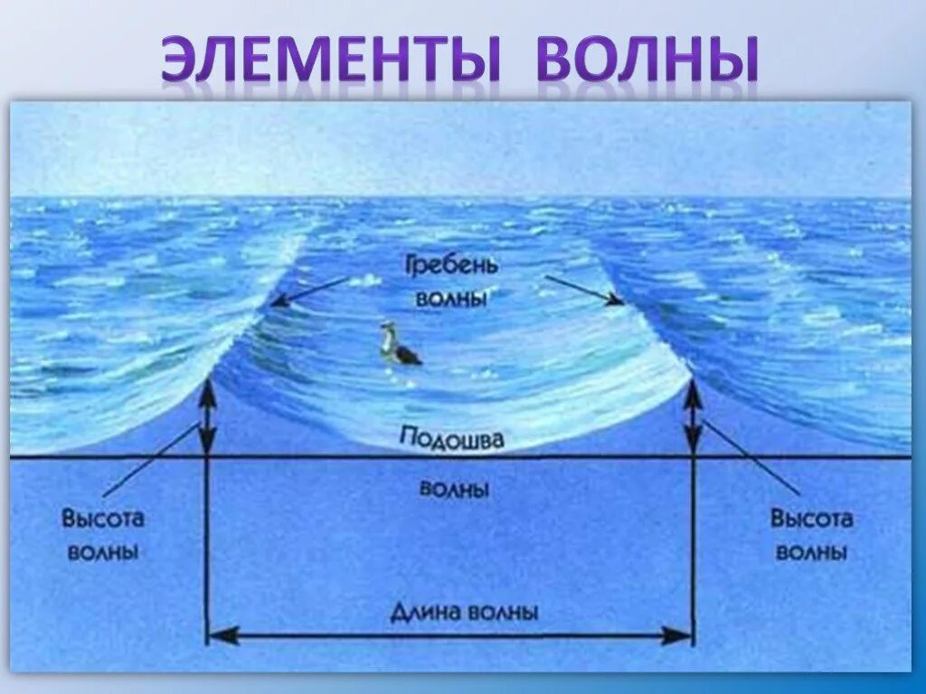 Основные течения воды. Элементы волны. Строение волны. Строение морской волны. Элементы ветровой волны.