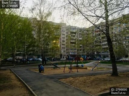 Мусина д м