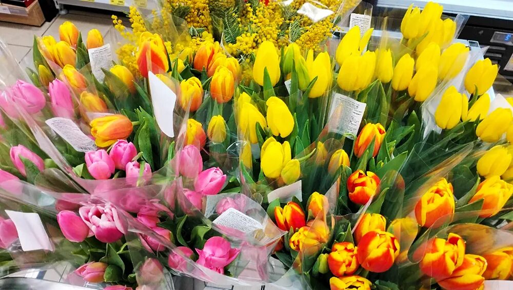 Сколько стоят тюльпаны в магните. Красивые тюльпаны. Шикарный букет тюльпанов. Тюльпаны с праздником.
