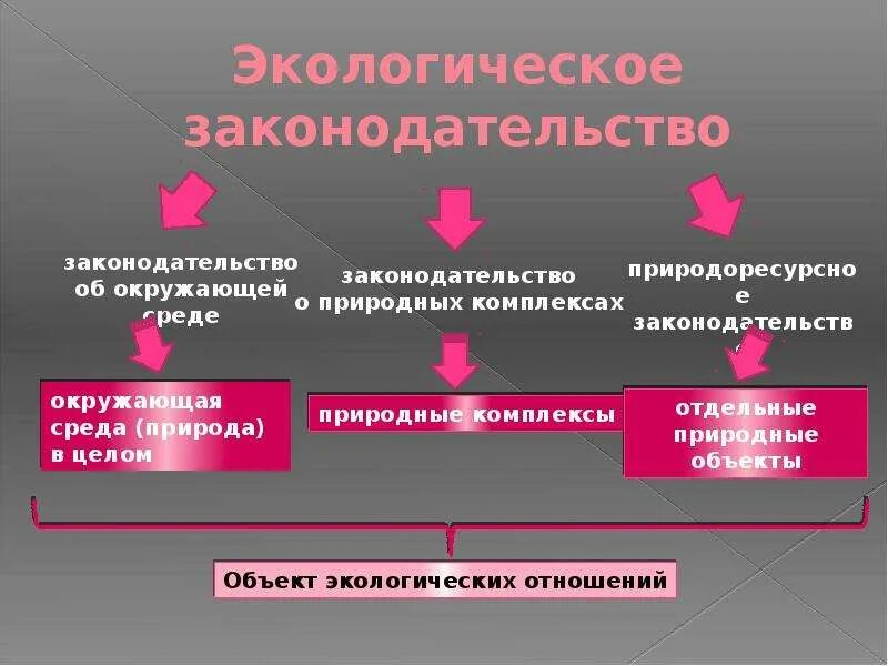 Природное законодательство. Экологическое законодательство. Экологические законы. Природоохранное законодательство. Структура природоохранного законодательства.