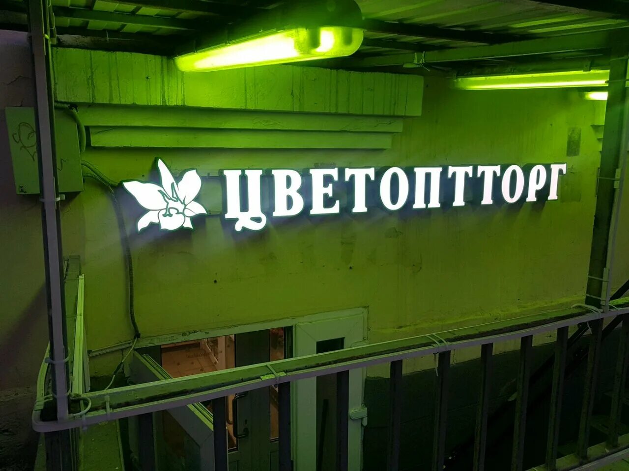 Цветы доставка спб цветоптторг