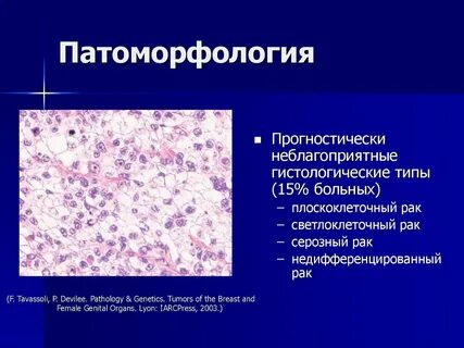 Патоморфология