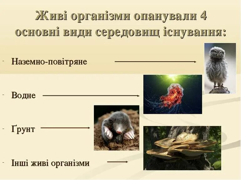 Основні процеси життєдіяльності рослини україни. Живі організми. Багатоклітинні тварини. Таблиця різноманітність життя у природи на українській мові. Рослини мандрівники.