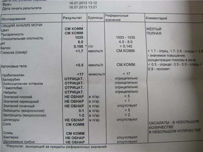 Слизь в умеренном количестве