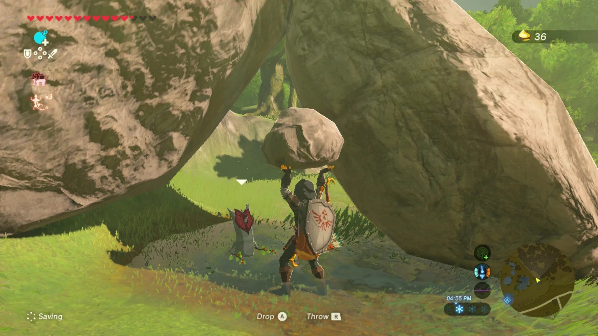 Breath of the wild гироскоп