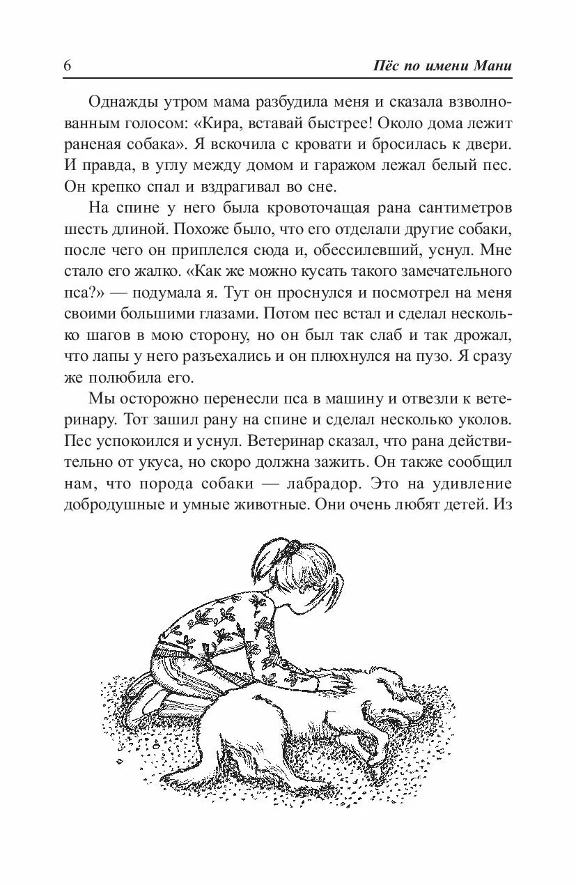 Книга пес по имени мани слушать. Бодо Шефер собака по имени мани. Пёс мани книга. Книжка пес по имени мани. Книга пёс по имение мани.