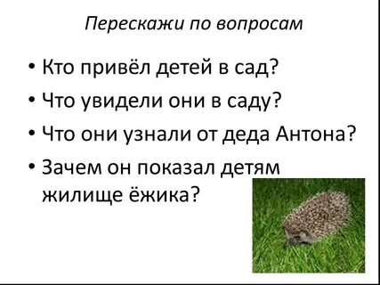 Стишок про ежика и травку