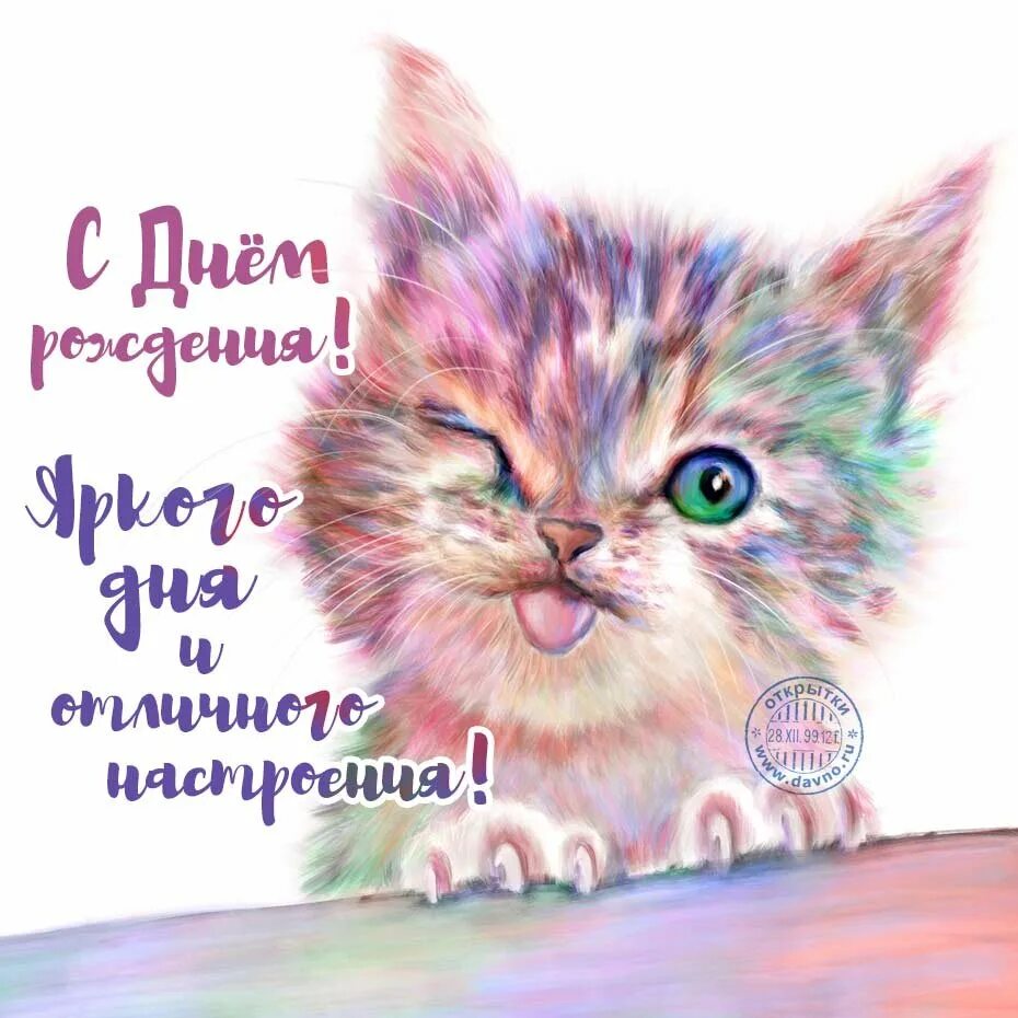 Коты картинки пожелания