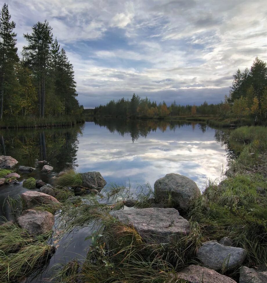 Республика Карелия. Река Кяй Карелия. Карелия Петрозаводск природа. Республика Карелия озера. Природа республики карелия