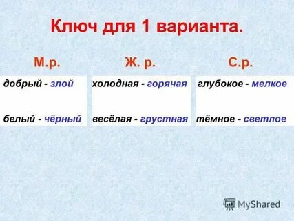 Племя единственное число
