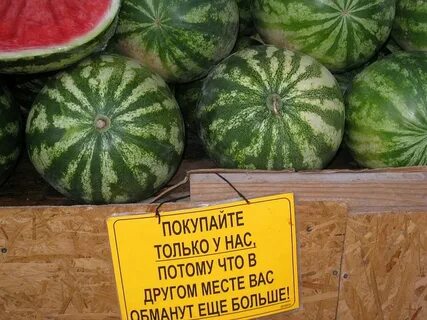 Папа купил дыню арбуз