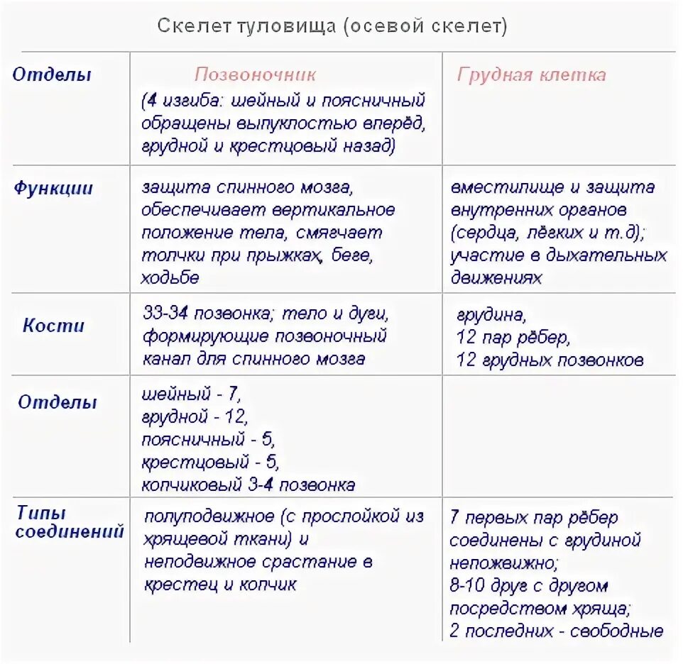Скелет и его функции. Таблица отдел скелета строение функции. таблица отделы тела скелета туловища. строение скелета человека таблица отделы скелета. функции скелета туловища.