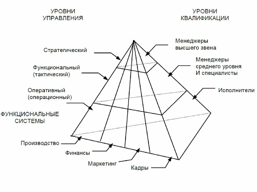 Уровни иерархии информационной системы. Пирамида уровней управления менеджмент. Информационные системы оперативного (операционного) уровня. Пирамида менеджмента в организации.