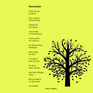 November the second