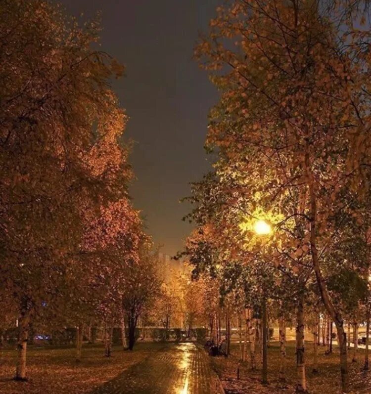 Вечер без осадков. Дождливая осень. осень дождь вечер. дождливый осенний вечер. осенний вечер дождь.