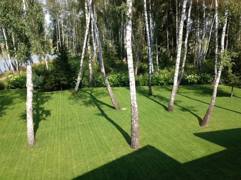 Поселок березовый участки