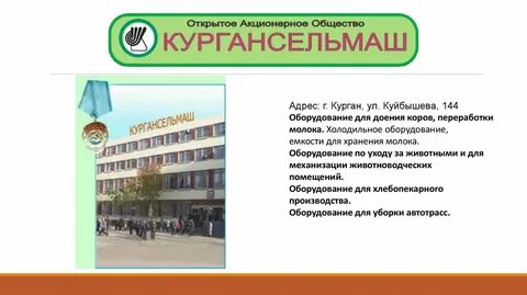 Курганская область организации