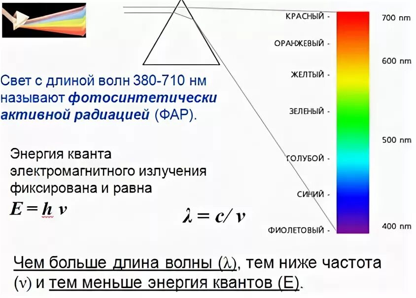 Красный световой луч с длиной волны 700. Длины волн видимого света. Длина волны света. Длина световой волны. Длина волн светового спектра.