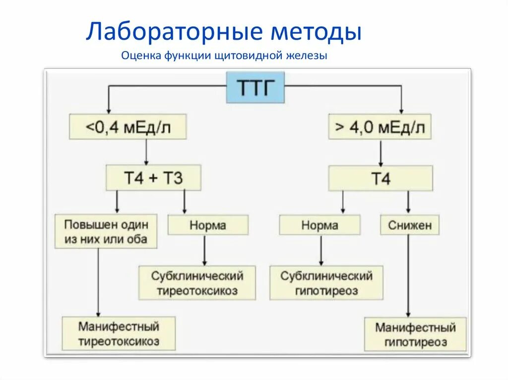 Гормоны щитовидной железы ТТГ И Т. Лабораторные алгоритмы оценки функции щитовидной железы. Гипотиреоз показатель ТТГ норма. Оценка функции щитовидной железы ТТГ норма.