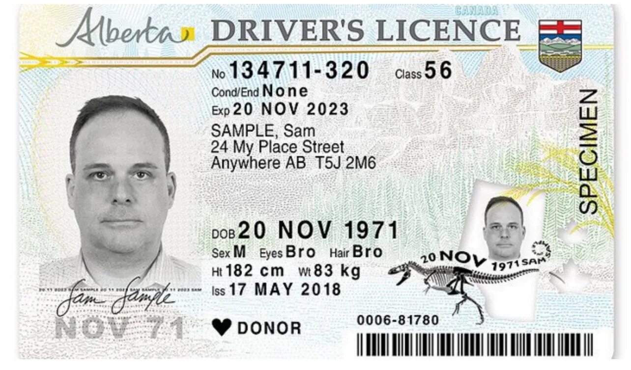 Ids license. Alberta Driver License. Canadian Driver License.