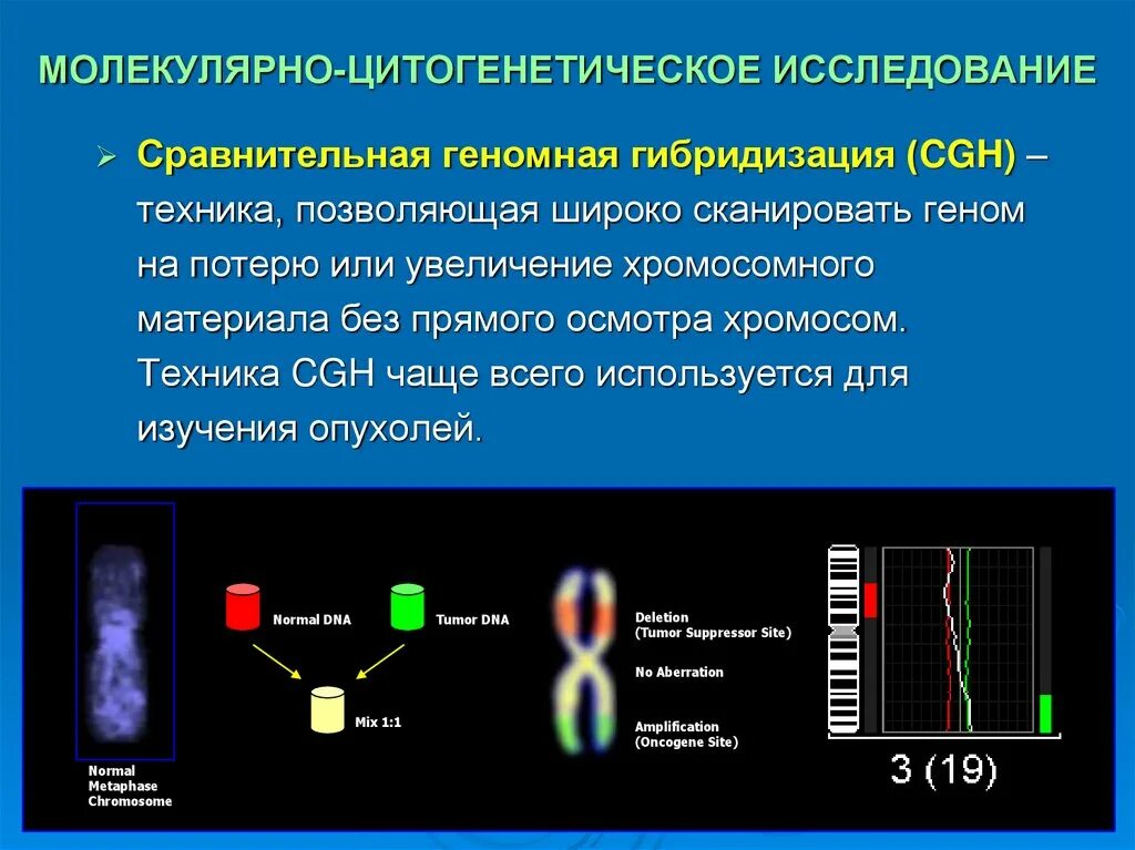 Молекулярный метод исследования в генетике. Молекулярная генетика методы исследования. Молекулярно-цитогенетические методы диагностики. Молекулярно-цитогенетический метод. Цитогенетический метод наследственные заболевания