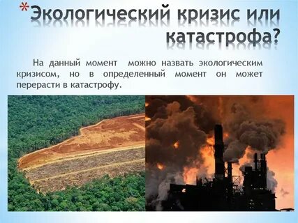 Экологическая система экологическая катастрофа