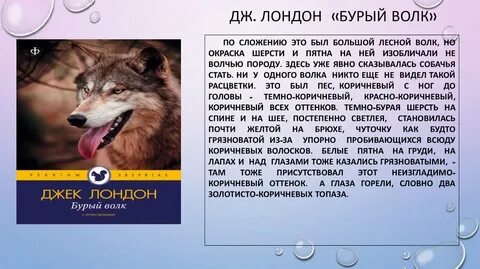 Между волками читать