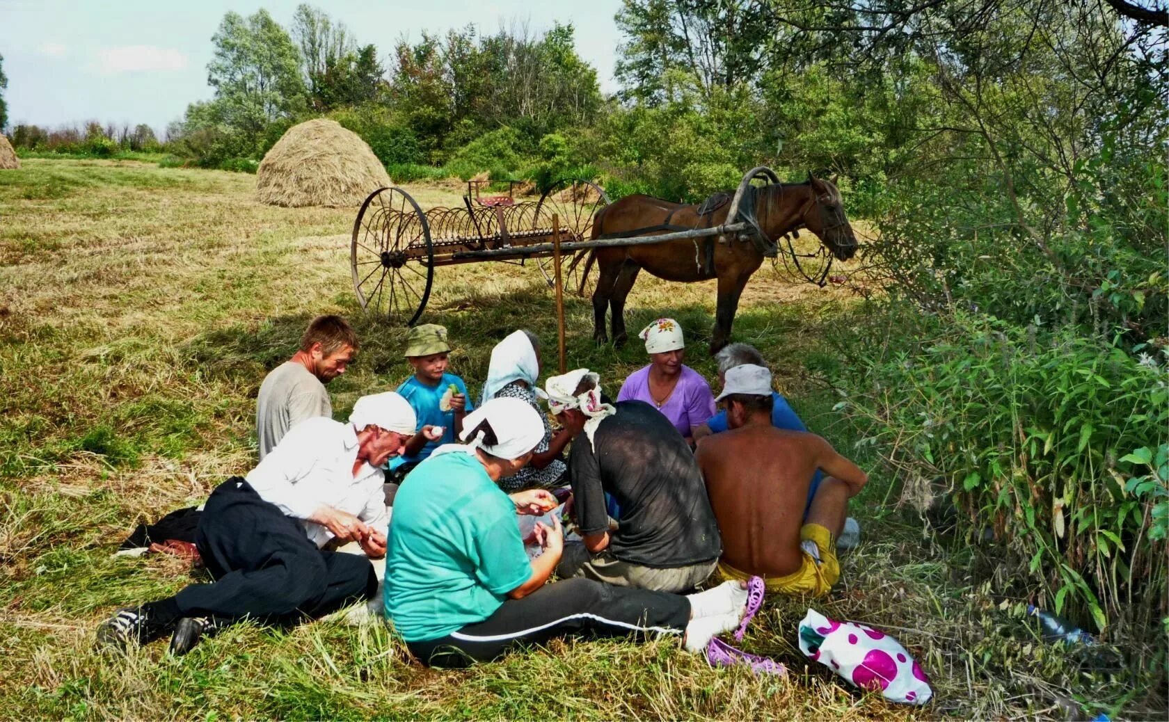 Центр фольклора в калининграде картинки. Вид деревни с пригорка. В селе на 20 июня. Поляна в деревне. Поляна в деревне.
